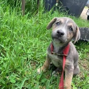 Meet your Posher, Suzanne